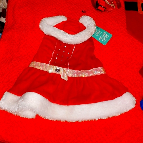 Medium Mrs Claus costume for your pet